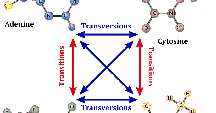 blogorrhea: A Simple Method for Estimating the Rate of Transition vs ...