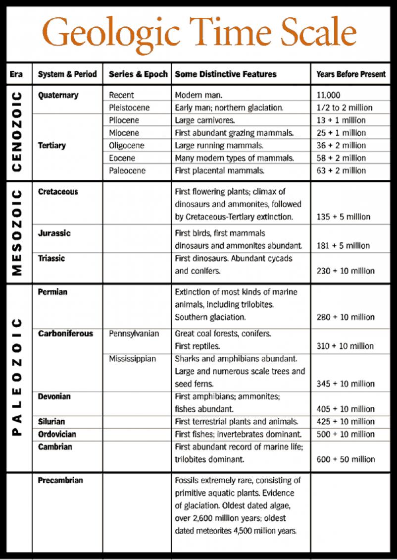 General Biology 2 : Geological Timescale