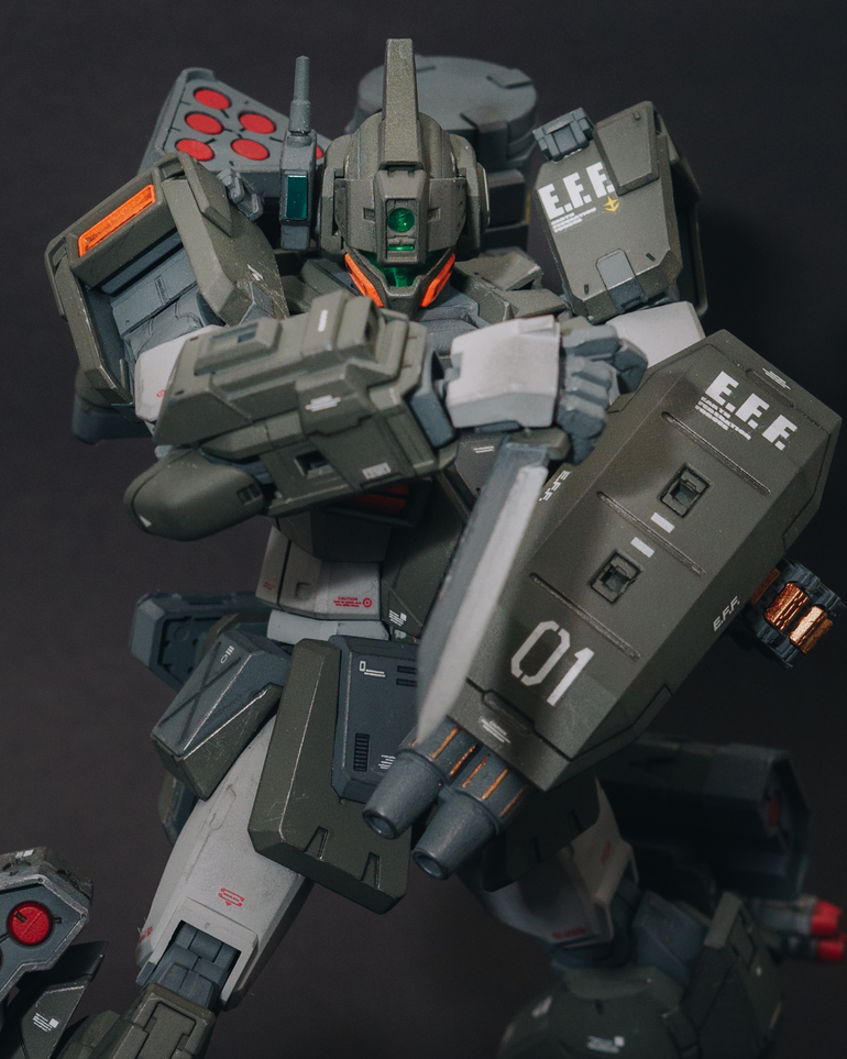 Custom Build: MG 1/100 GM Dominance 