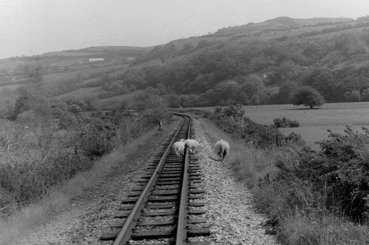 the rail thing British Rail steam in 1978