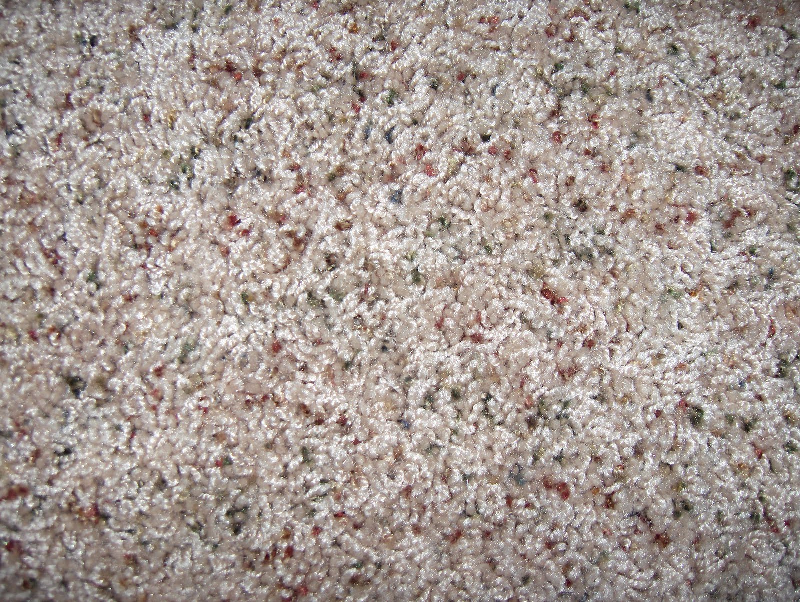 design dump shopping for carpet