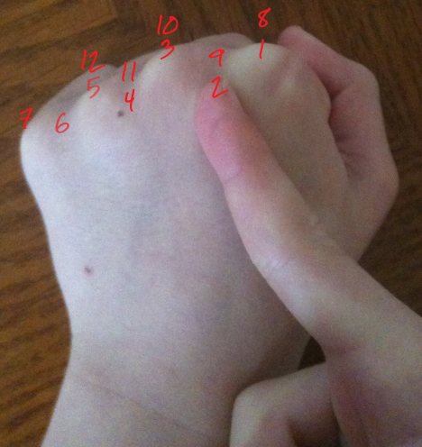 Finger Method Month 大小月 (The Months) - Eva Varga