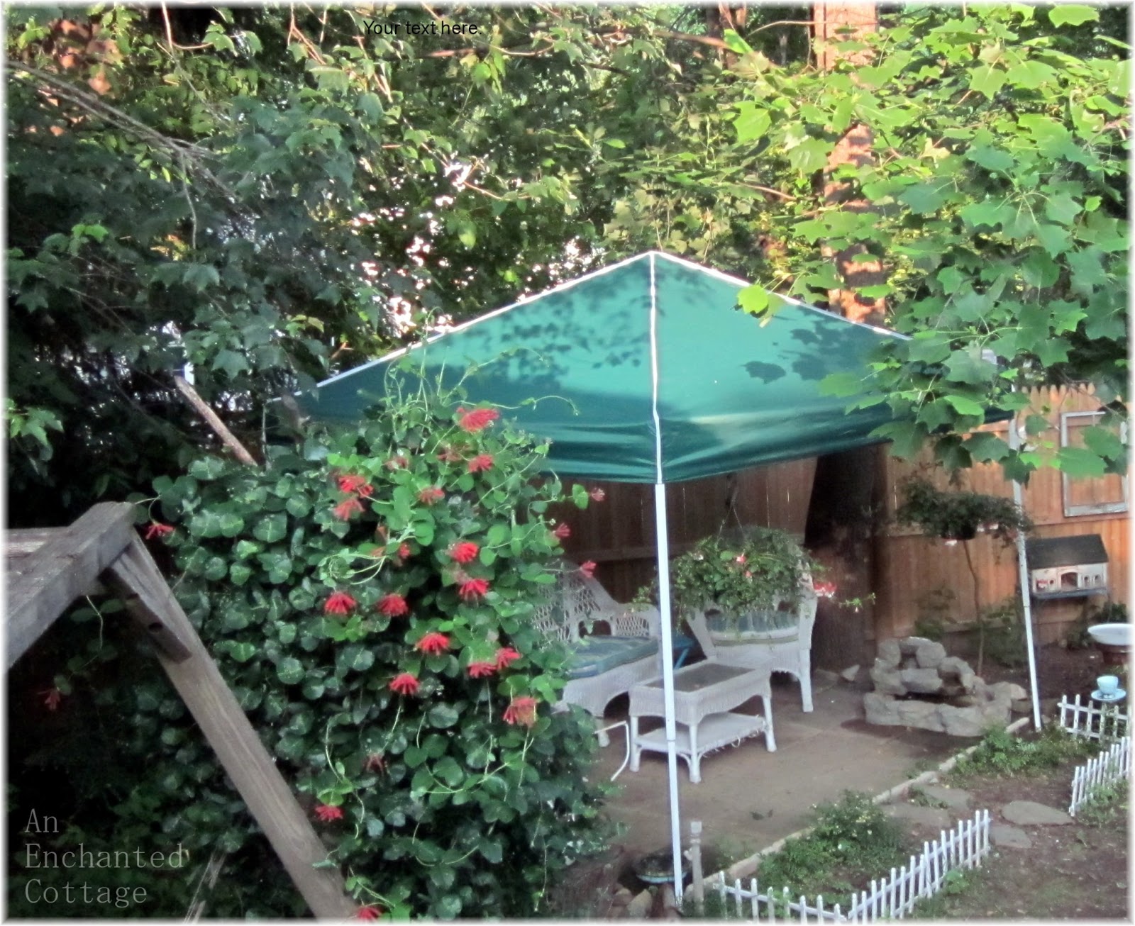 An Enchanted Cottage The new patio tent and a mishmash of flowers...