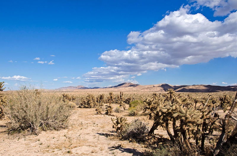 What Are Biomes? - WorldWide Weird News