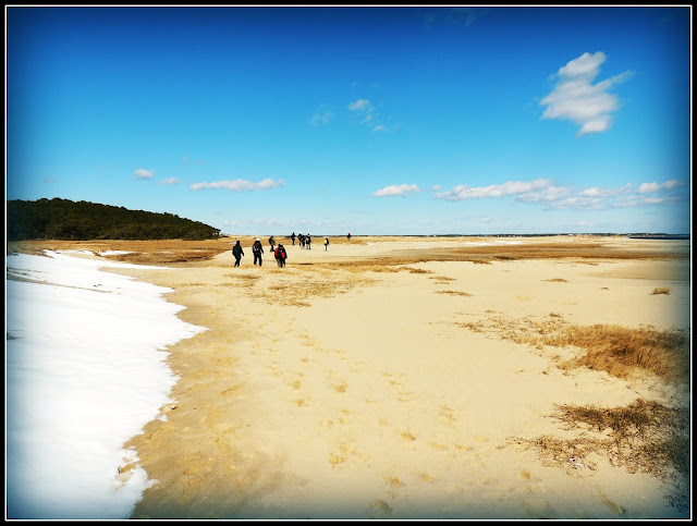 Great Island Trail: Nieve