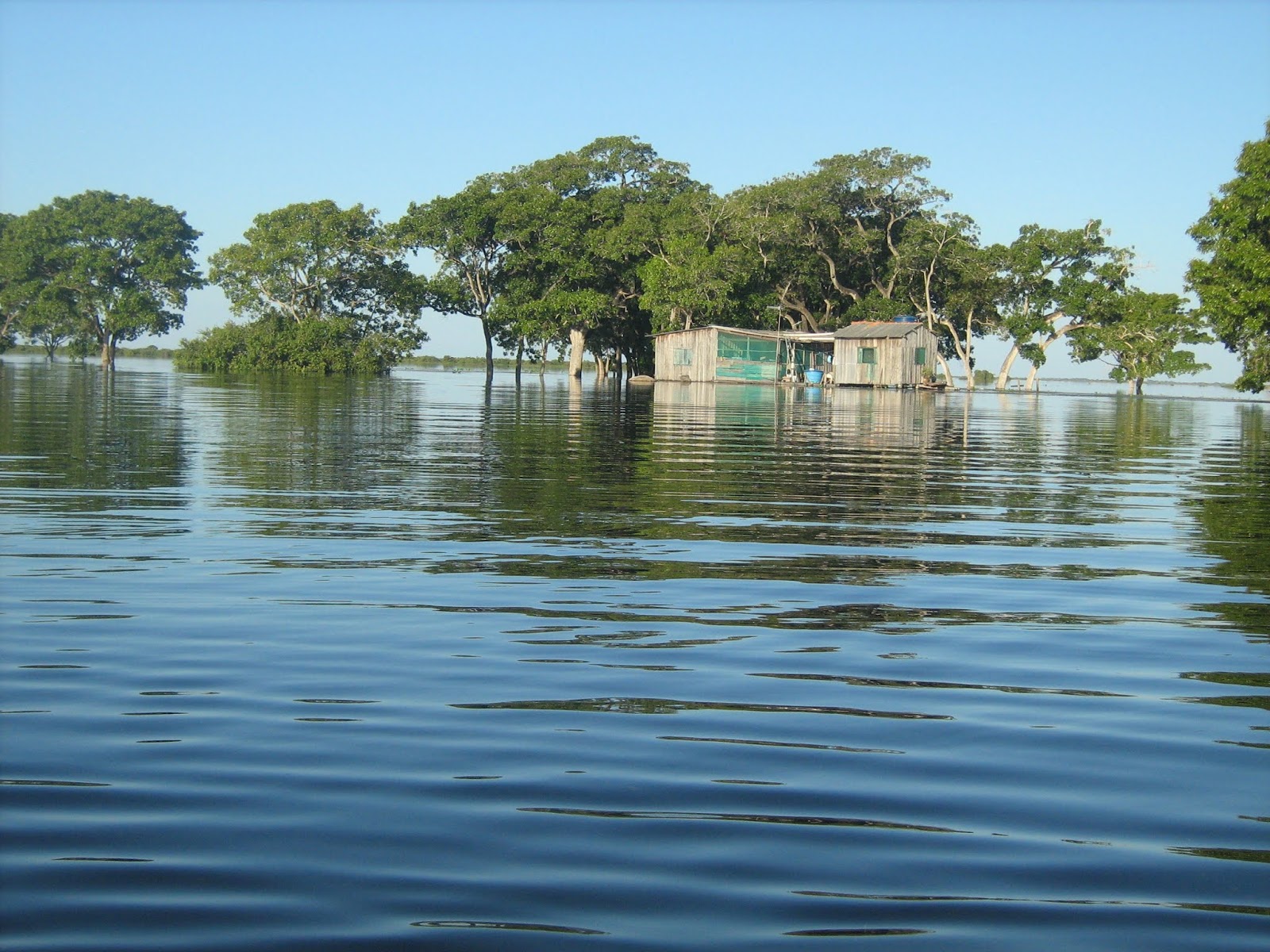 Pantaneirissimo: Maior ninhal do Pantanal tem quase um quilômetro de extensão
