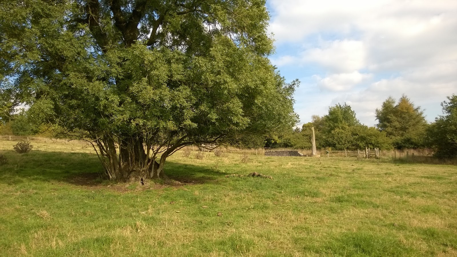 101 Things To Do In Leicestershire October 2015 101-things-to-do-in-leicestershire-october-2015
