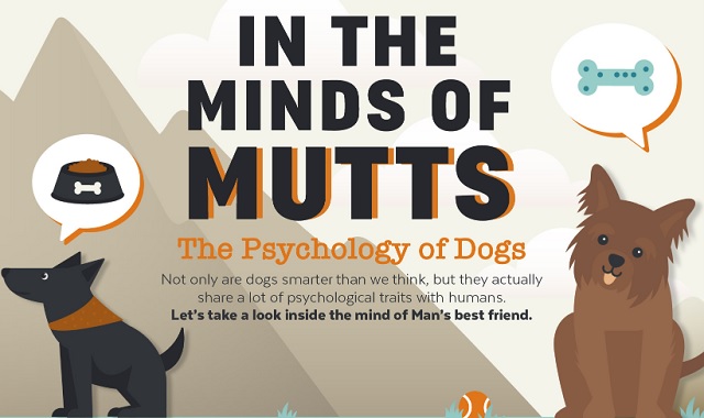 Dog Psychology: In the Mind of Mutts