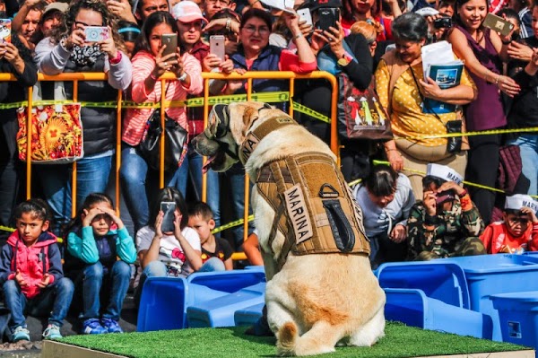 Frida terminó exhausta luego de que miles fueron a visitarla para tomarse una foto con ella Frida terminó exhausta luego de que miles fueron a visitarla para tomarse una foto con ella