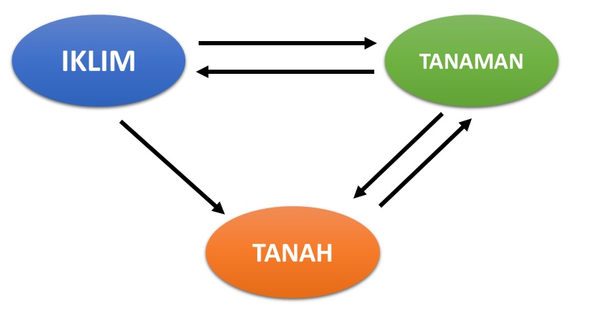 Konsep Kesesuaian Iklim untuk tanaman Belajar Cuaca dan Iklim
