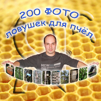 200 фото ловушек для пчёл