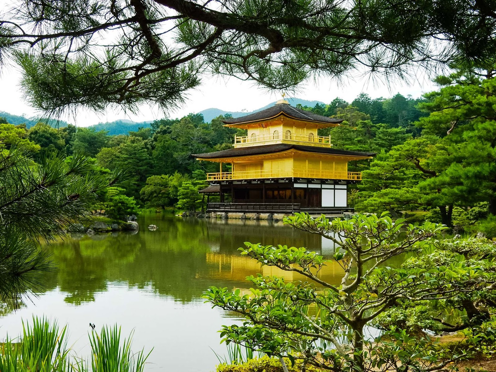 kinkaku-ji temple