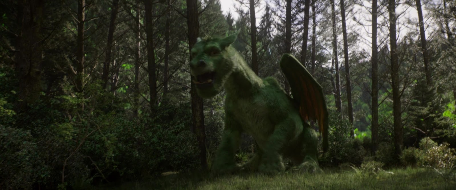 элиот и его дракон. Blu-ray. пит и его дракон (2016). смит и его дракон 1994. пит и хороший дракон.