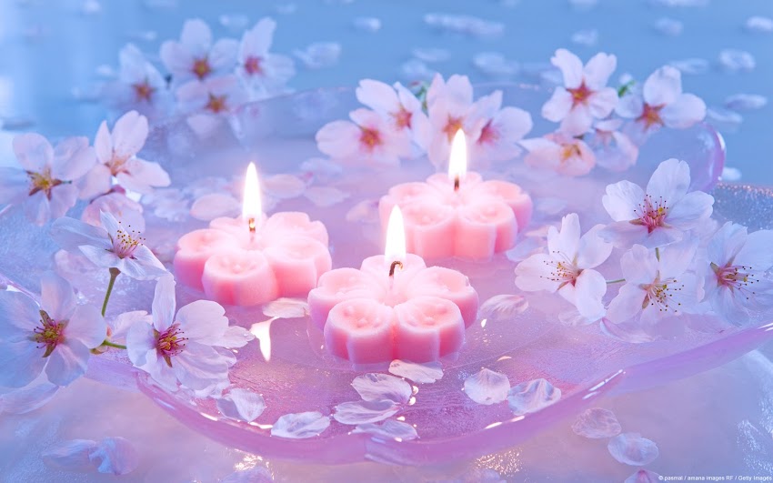 Candles and Cherry Blossoms Candles and Cherry Blossoms