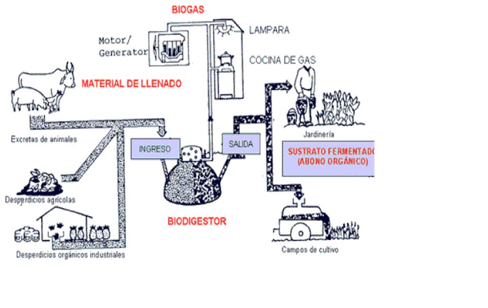Gas Combustible Obtenido Mediante Fermentacion Anaerobia Material Organico Material Colección Gas Combustible Obtenido Mediante Fermentacion Anaerobia Material Organico Material Colección