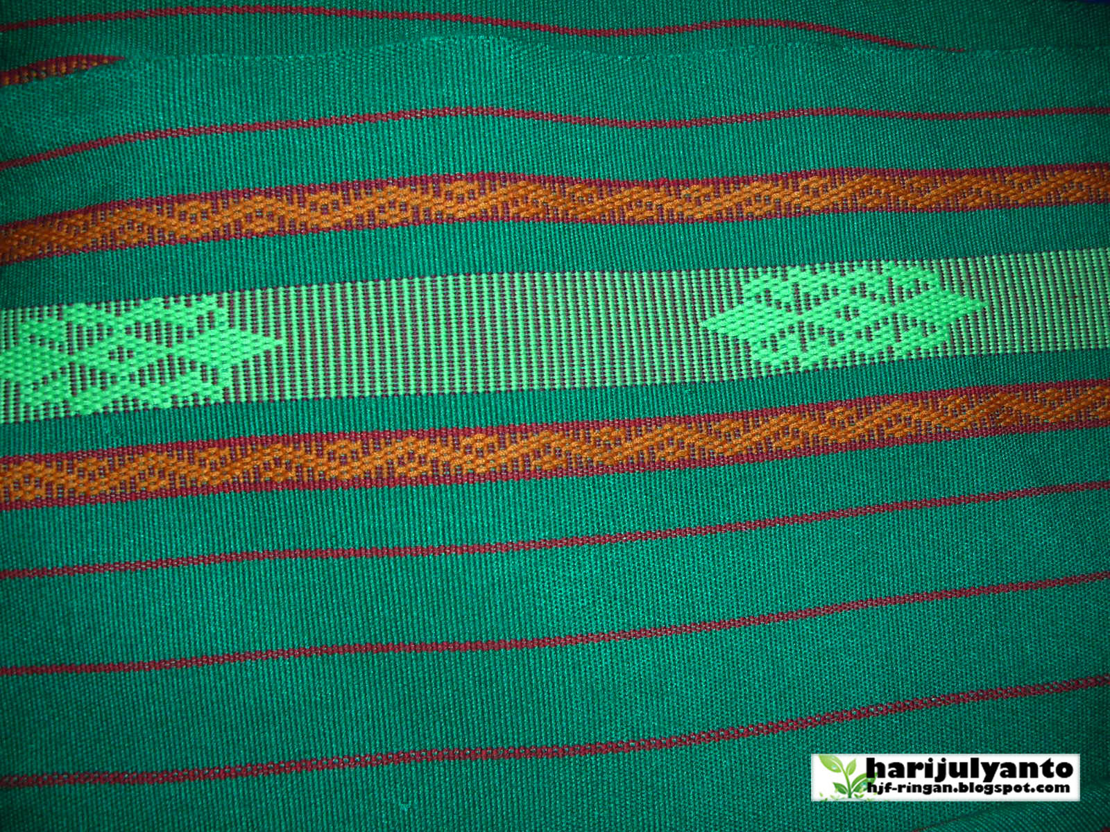 Ringan Motif kain tenun sulam Sumba Barat