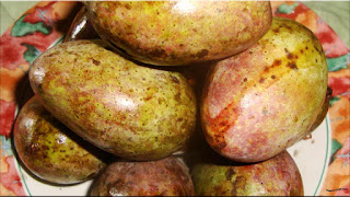 gambar buah mangga kasturi