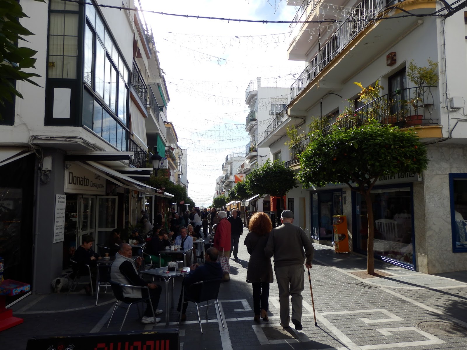 Olvera diary San Pedro de Alcántara