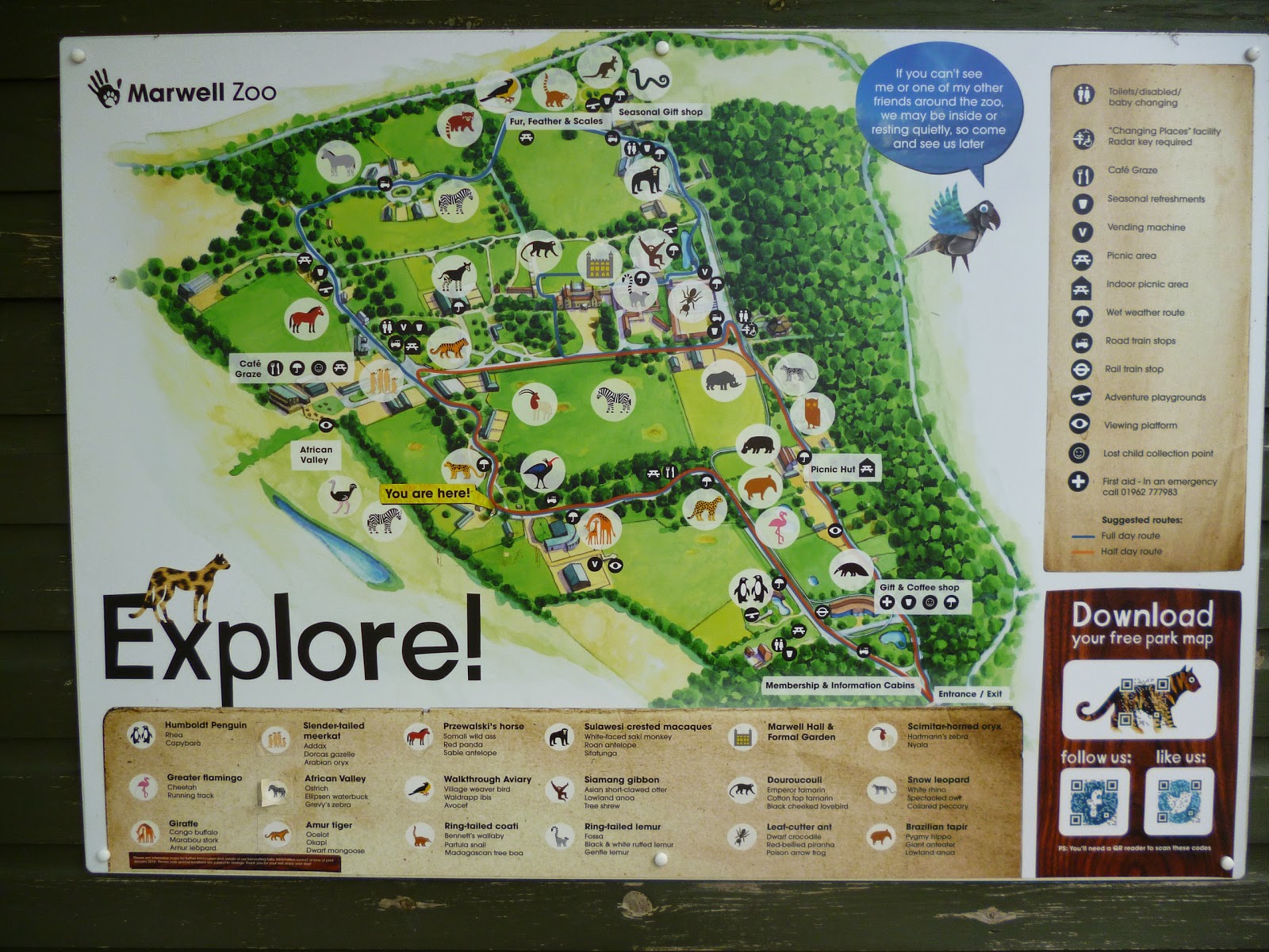 TM's Blog A day out at Marwell Zoo