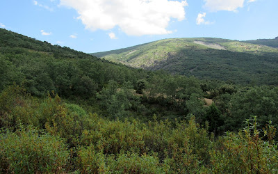 Rutas por Hontanar y Malamoneda