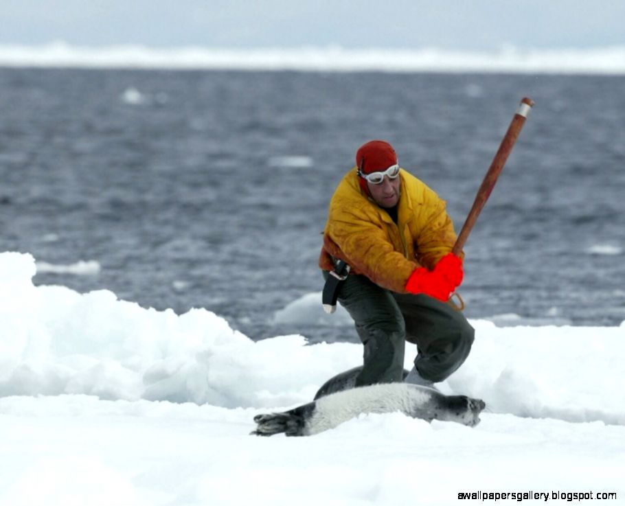 860665c42b729dbc2429eed73922e6