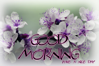 Good Morning Images Good Morning Images