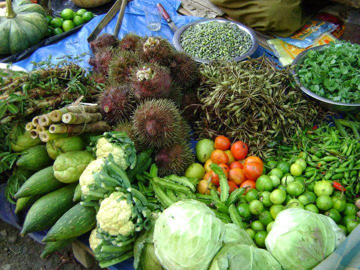 Manipurian Common Names of Manipuri Food Plants