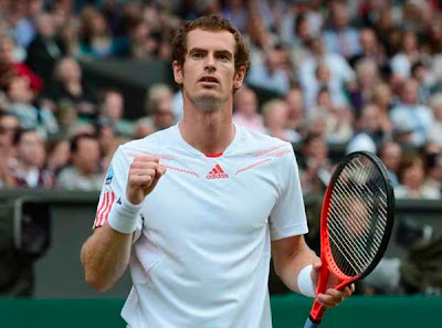 Andy Murray Wimbledon Final 2012