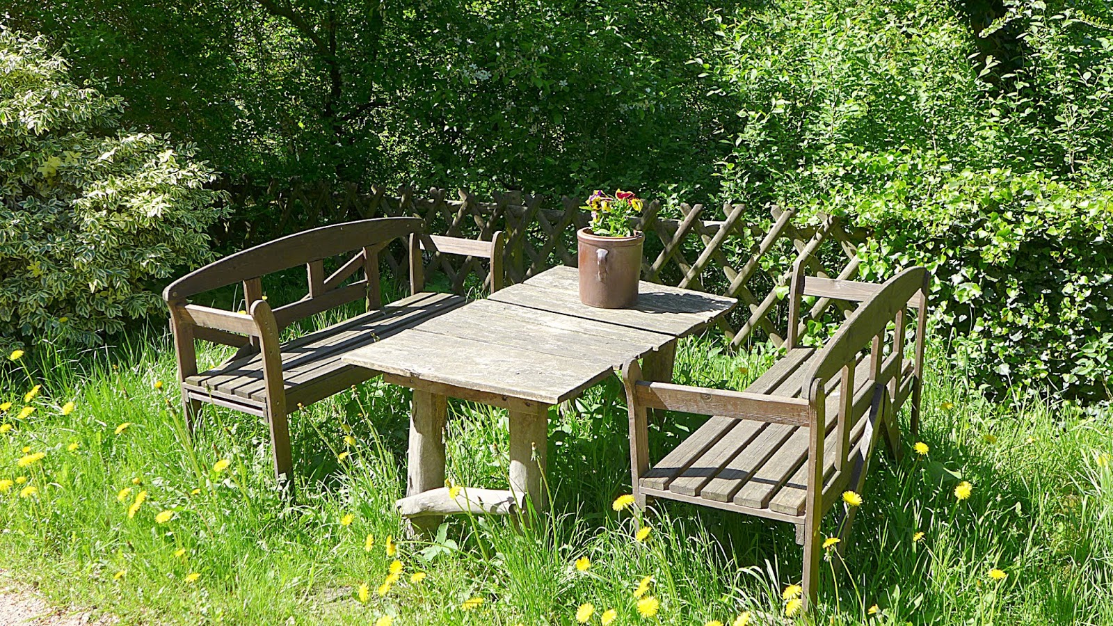 Unterwegs In Berlin Brandenburg 2 Baumwipfelpfad Schloss