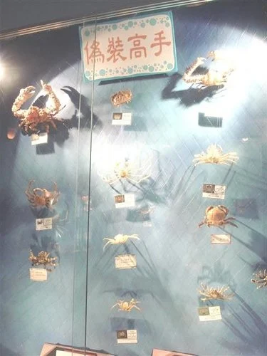北關休閒農場 台灣螃蟹博物館