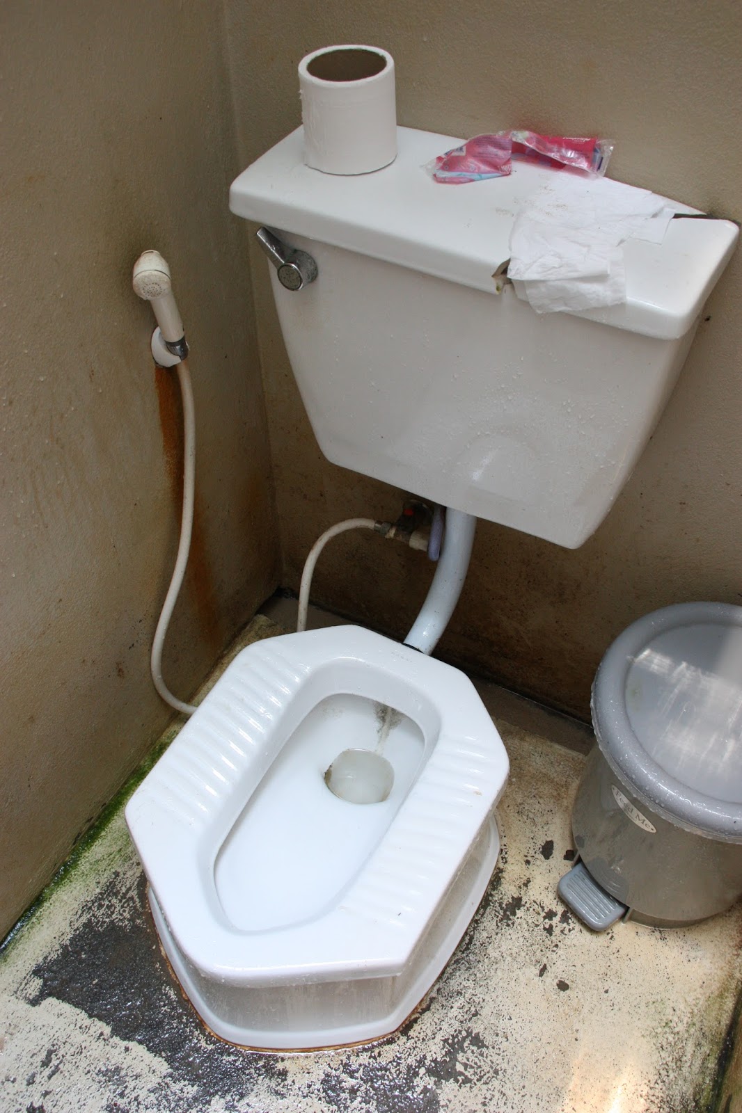 Travels Far and Near Toilets in Thailand