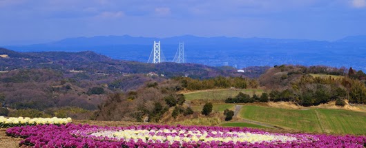 two white main towers of Akashi Kaikyo Bridge is seen from here