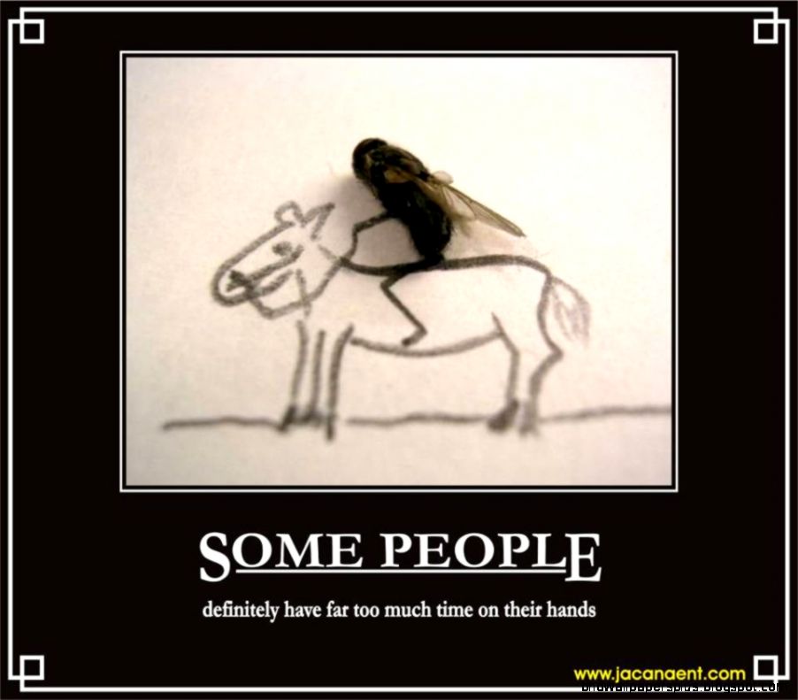 funny pictures with captions   Free Large Images