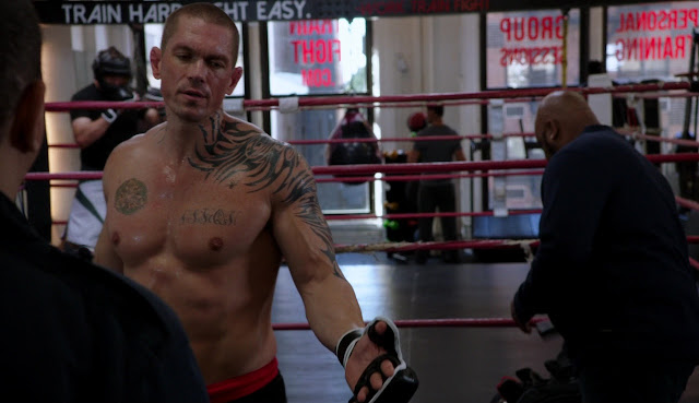 Alexis Superfan S Shirtless Male Celebs Steve Howey Shirtless In Law 5
