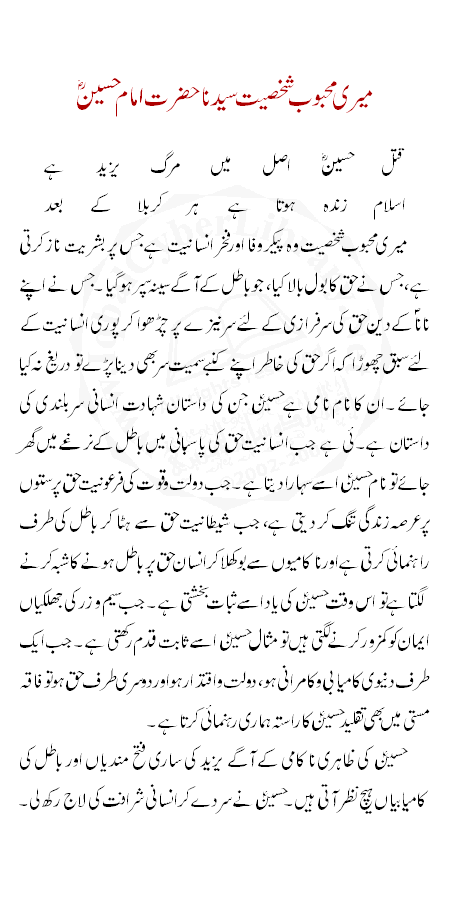 Achievements of caliph ali picture