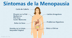 premenopausia, menopausia, pre-menopausia, pre menopausia, 
