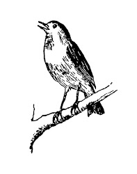 bird tree drawing clipart illustration parrot digital clip cardinal downloads cherry perched stamp getdrawings branch transparent webstockreview
