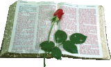 Blog Book. . .By Faith Hear the Voice of God