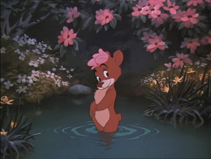 solitone Jesus Cricket!