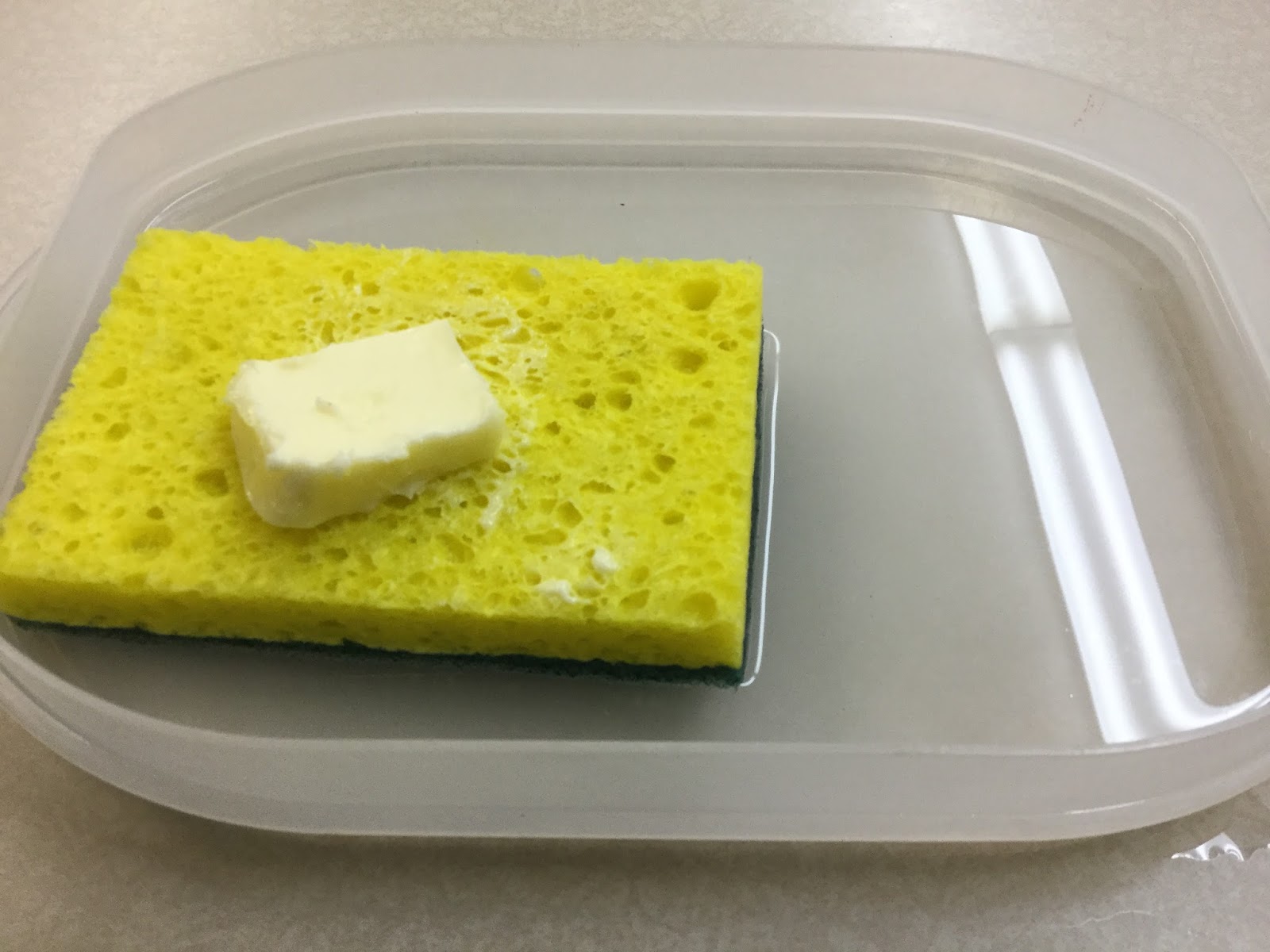 Mrs. Burbridge's 3rd Grade Class Conductors & Insulators