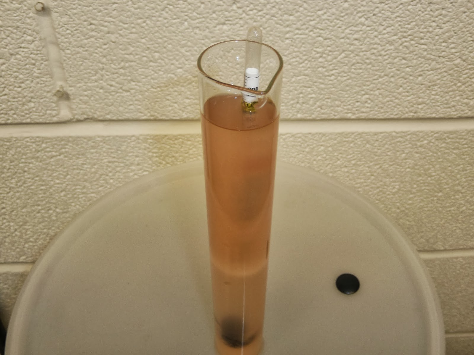 Home Brew And Wine Making Tips Rhubarb Wine