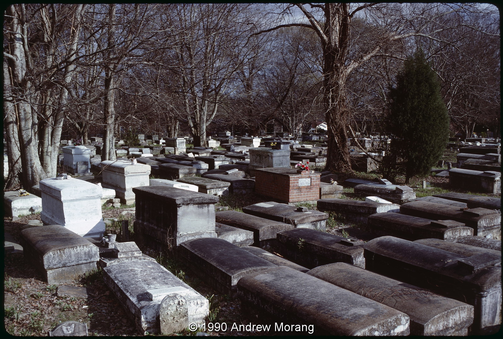 Urban Decay Historic Sweet Olive Cemetery, Baton Rouge, Louisiana