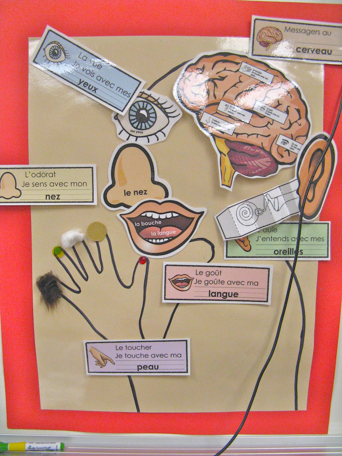 Madame Belle Feuille: une affiche des cinq sens