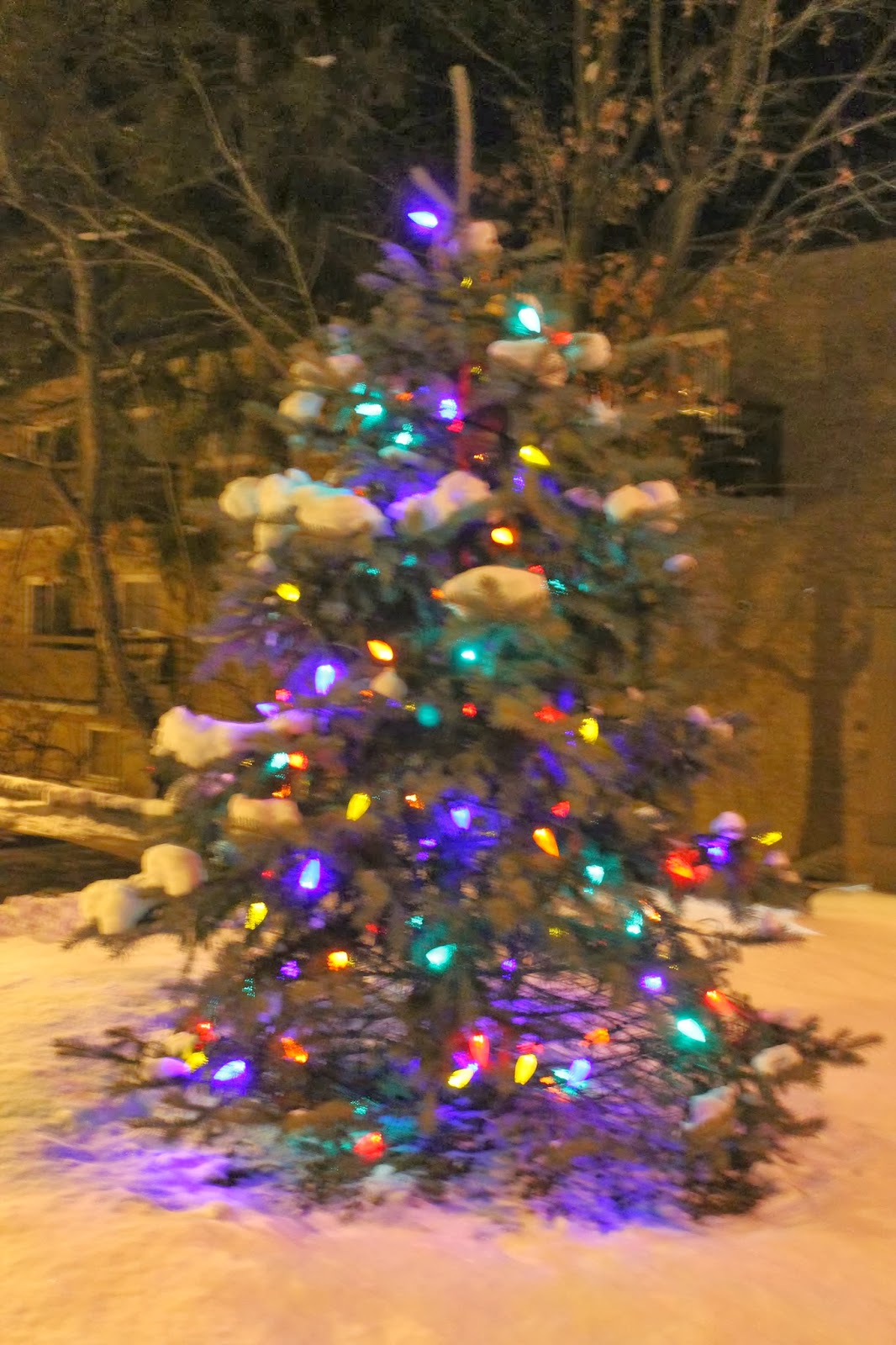 Ted Currie; Antique Head Gravenhurst At Christmas; Ada Kinton