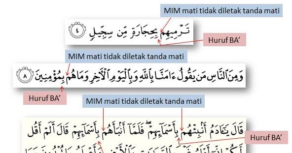 Contoh Ayat Ikhfa Syafawi / Hukum mim mati Wikipedia bahasa Indonesia