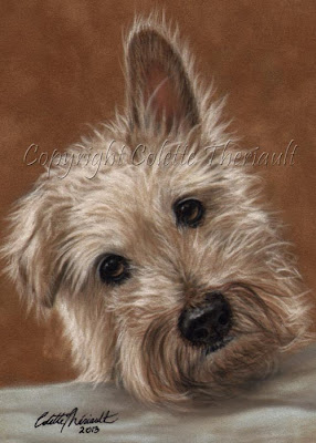 Wire Haired Jack Russell Terrier Portrait painting in pastel by Colette Theriault