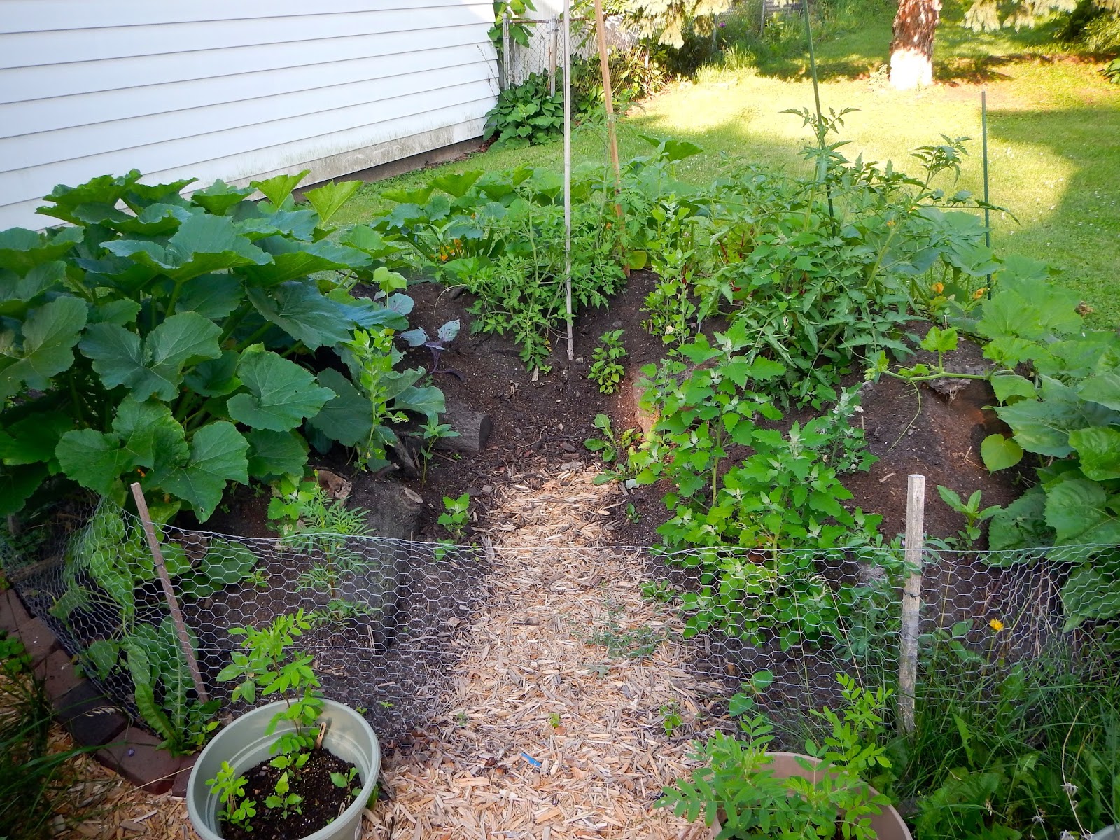 Day by Day Homesteading: The Art of Creating Resiliency, One Day at a ...