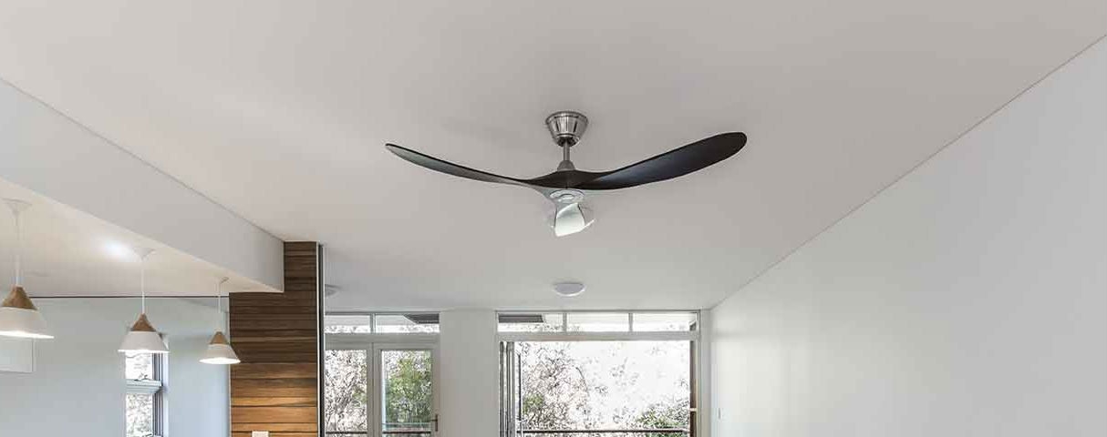Choose From A Finest Range Of Designer Fans Quality