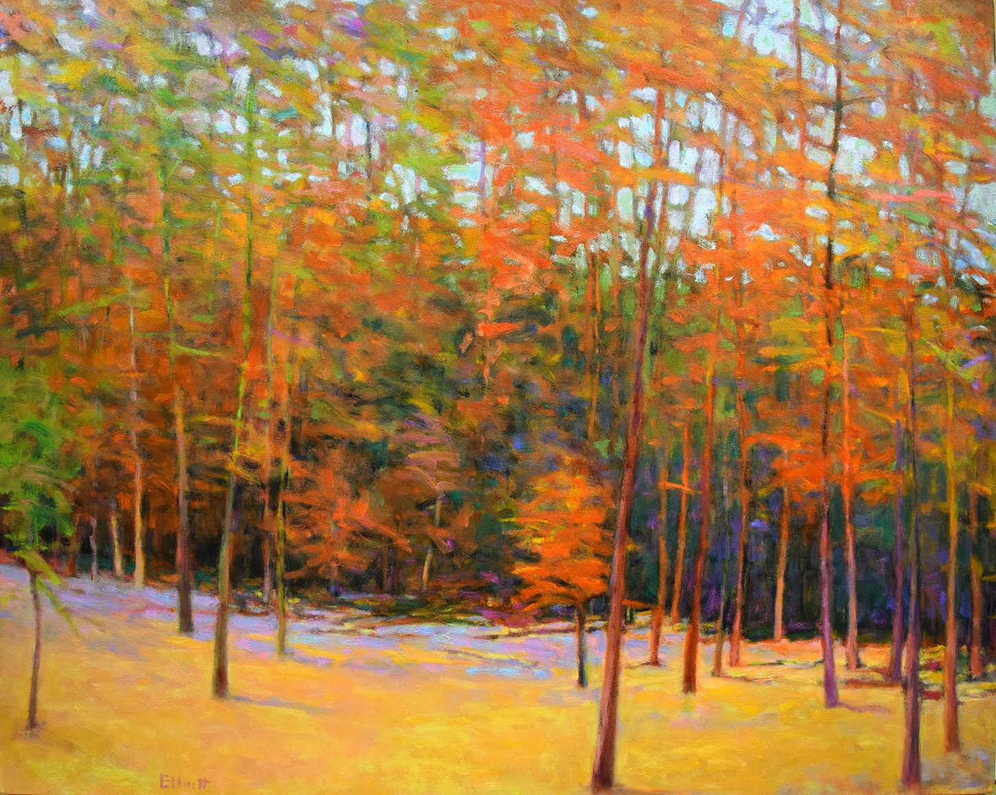 Ken Elliott / For the Color New Work Bright Patterns, oil on canvas