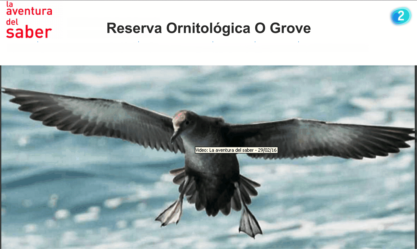 Documental: Reserva Ornitológica de O Grove